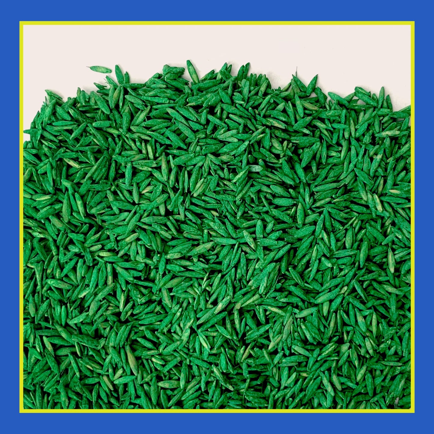 Smart Seed Clover & Grass Seed, Sun to Partial Shade, Drought Tolerant, Low-Maintenance Grass, 7 Lb