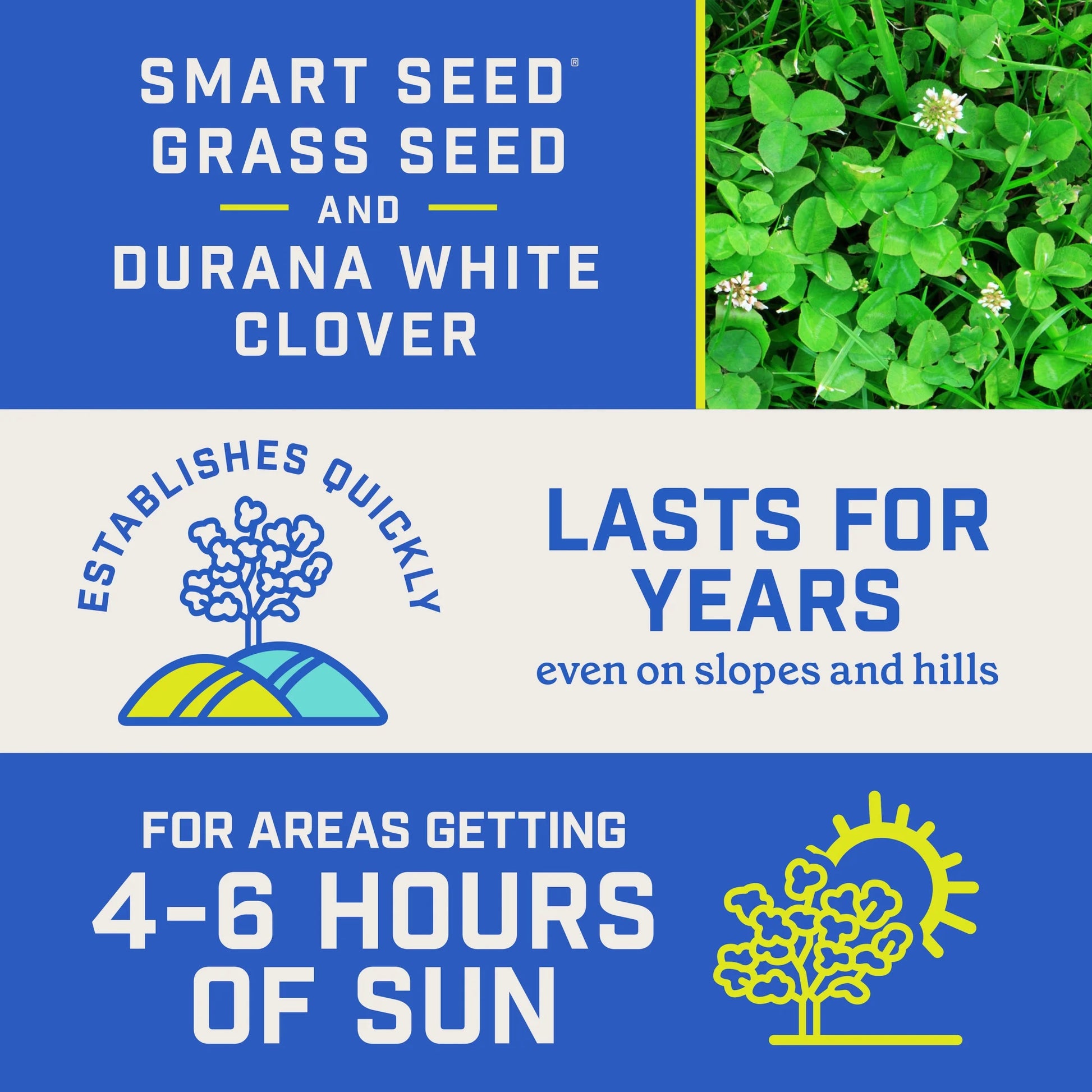 Smart Seed Clover & Grass Seed, Sun to Partial Shade, Drought Tolerant, Low-Maintenance Grass, 7 Lb